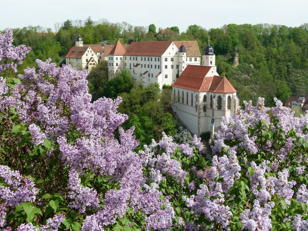 Schloss Haigerloch Esterno foto